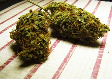 مخدرات - ارشيفية