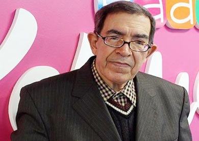 صلاح الدين الجمالي