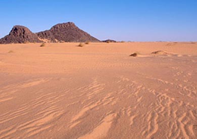 الصحراء الغربية