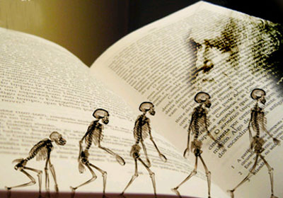                               أشهر النظريات التي أثرت في العالم Darwin