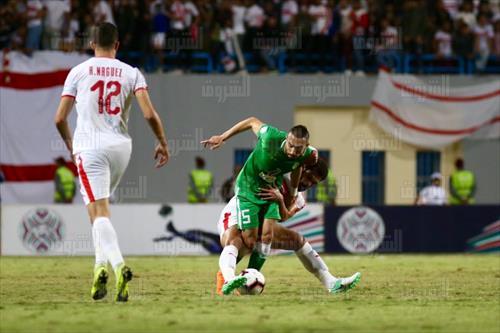 تصوير:أحمد عبدالجواد