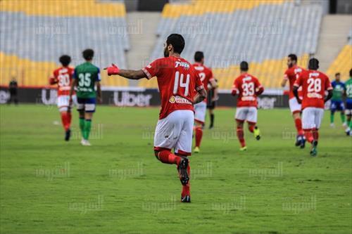 تصوير:أحمد عبدالجواد