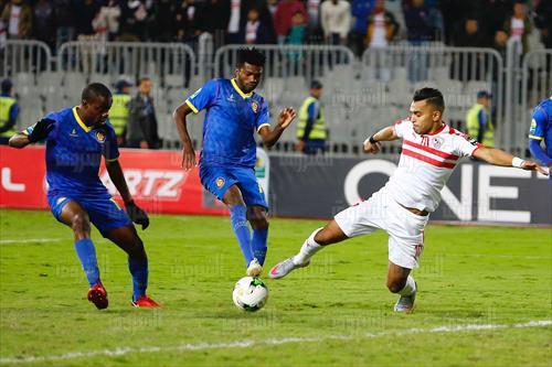 تصوير - أحمد عبدالجواد