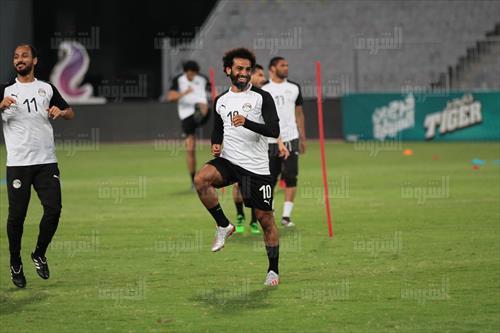 تصوير: إسلام صفوت