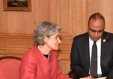 ايرينا بوكوفا - ارشيفية