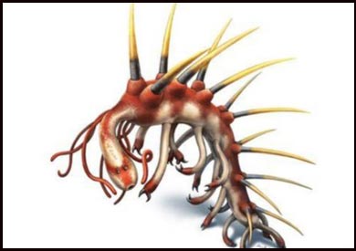 لم يكن يعرف العلماء شكل رأس كائن الهالوسيجينيا